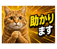 846258228