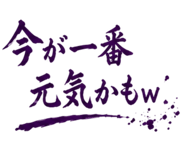 846259619
