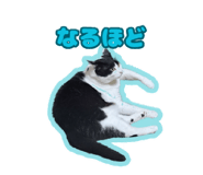 846262527
