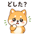 846263059