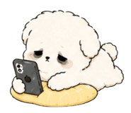 846265044