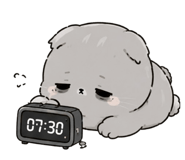 846265292