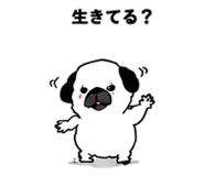 846265988