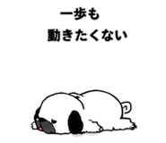 846265991