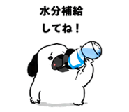 846265993