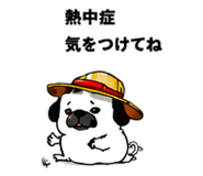 846265994
