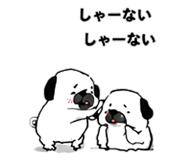 846266004