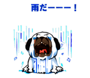 846266010