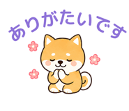 846267063