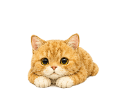 846269099
