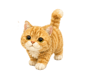 846269100