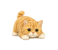 846269111