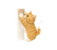846269117