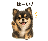 846271123