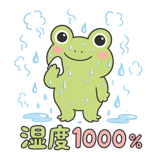 846271648