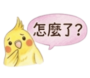 846272177