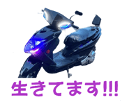 846272214