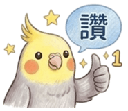 846273026