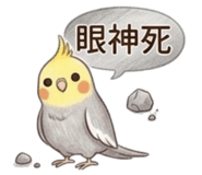 846273035