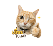 846275355