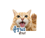 846275360