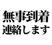 846277381