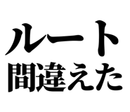846277404