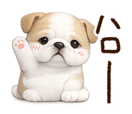846278322