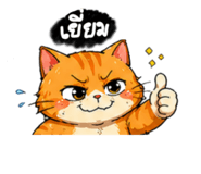 846278416