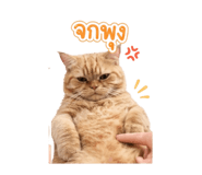846279960