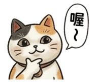 846280622