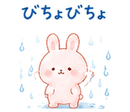 846283244
