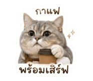 846284981