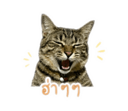 846285025
