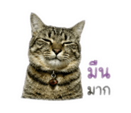 846285043