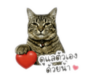 846285047