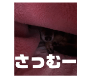 846285982