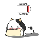 846286505