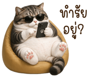 846286544