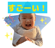 846286602