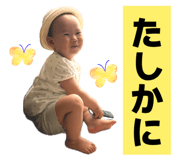 846286604