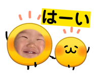 846286611