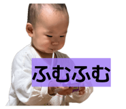 846286629