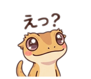 846286661