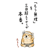 846287177
