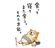 846287178