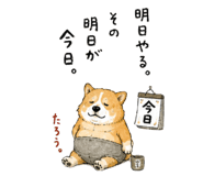 846287180