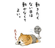 846287185