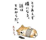 846287186