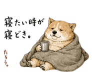 846287195